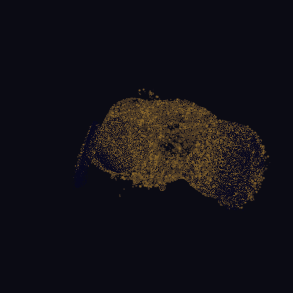 Animated heatmap of fly-brain spike activity, captured live while the connectome was piloting the drone.